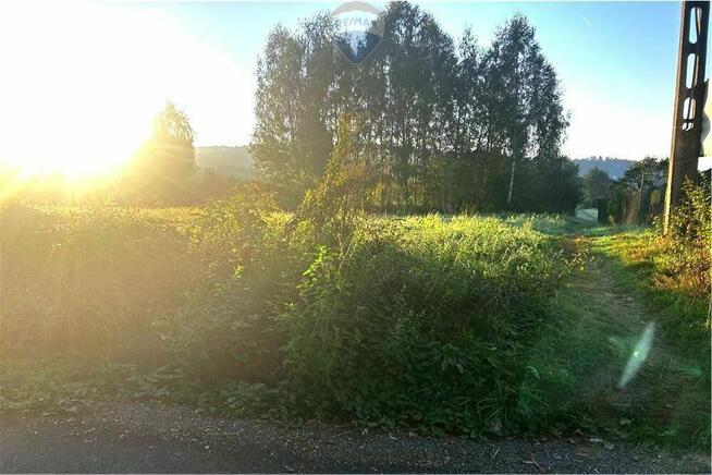 Działka budowlana w górach, Dąbrowa/Nowy Sącz