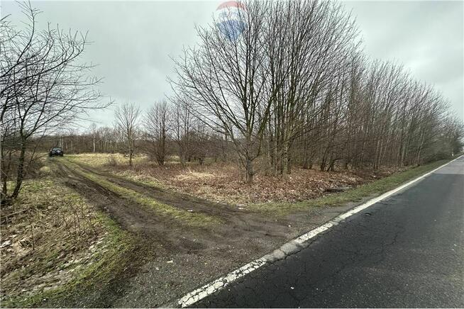 Działka Jankowice blisko mostu i drogi asfaltowej