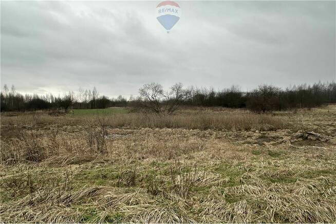 Działka rolna blisko drogi asfaltowej i zabudowań