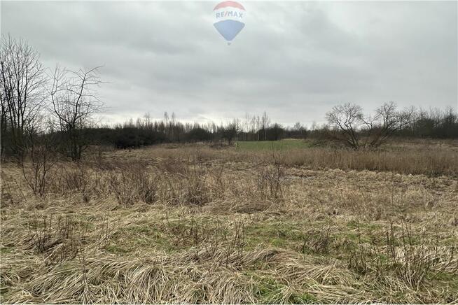 Działka rolna blisko drogi asfaltowej i zabudowań