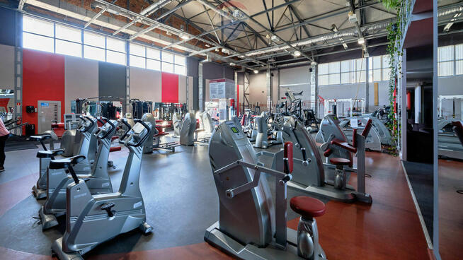 Hala sportowa, Fitness & Wellness, dochodowa