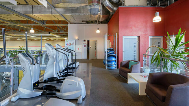Hala sportowa, Fitness & Wellness, dochodowa