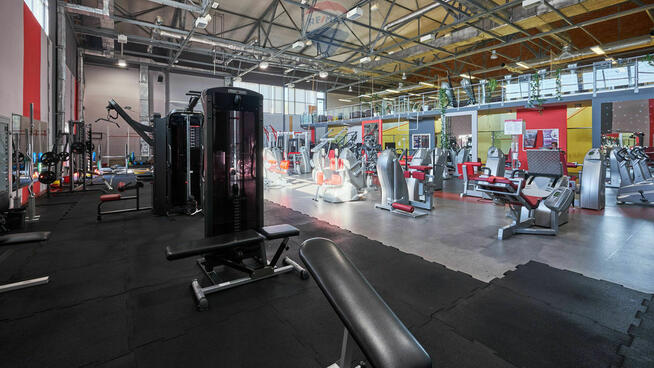 Hala sportowa, Fitness & Wellness, dochodowa