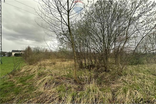 Działka w Mazańcowicach pod ogrodnictwo i uprawy