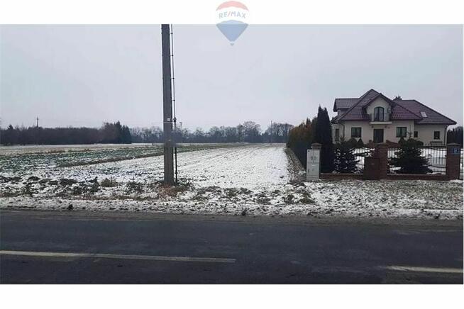 Działka budowlana i las