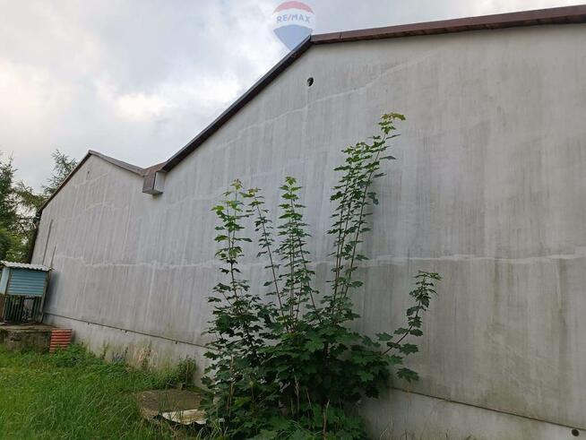 na sprzedaż chłodnia w Tychach