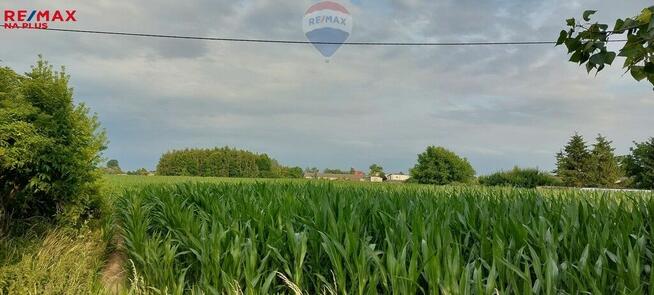 Teren inwestycyjny przy DK 15, Toruń-Kowalewo Pom