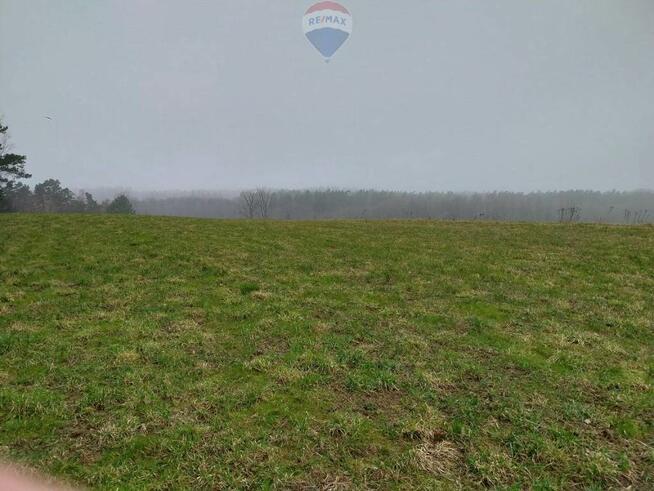 Działka (rolna) - Lisewo gmina Krokowa