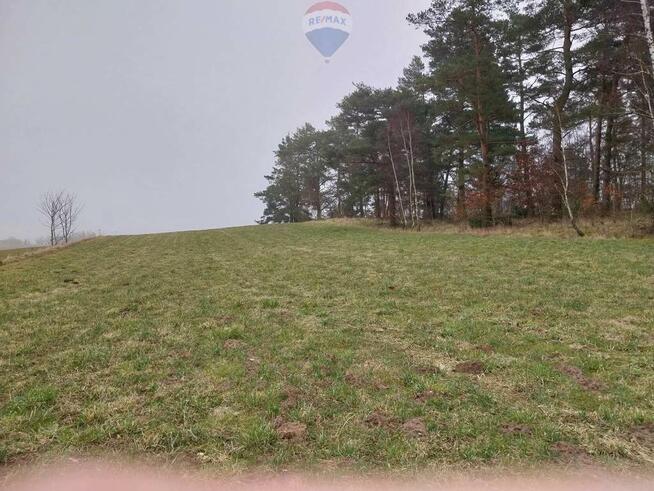 Działka (rolna) - Lisewo gmina Krokowa