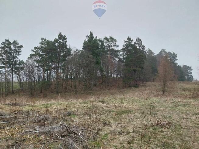 Działka (rolna) - Lisewo gmina Krokowa