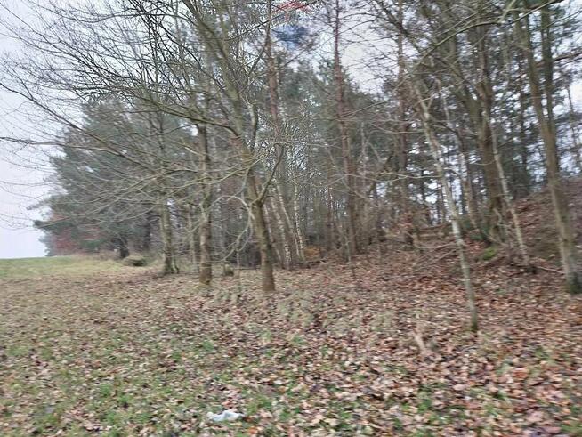 Działka (rolna) - Lisewo gmina Krokowa