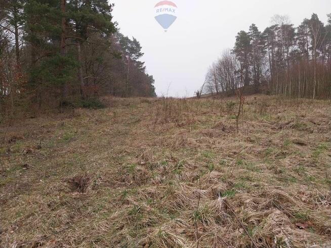 Działka (rolna) - Lisewo gmina Krokowa