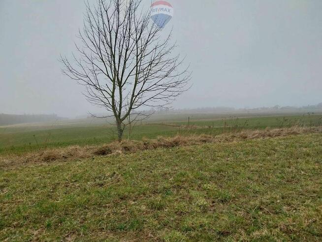 Działka (rolna) - Lisewo gmina Krokowa