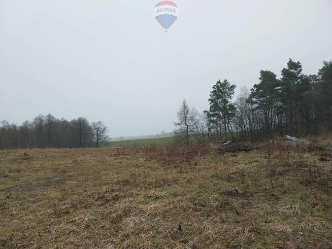 Działka (rolna) - Lisewo gmina Krokowa