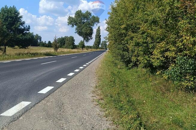 Działka Skaryszew k/Radomia, ul. Zielona