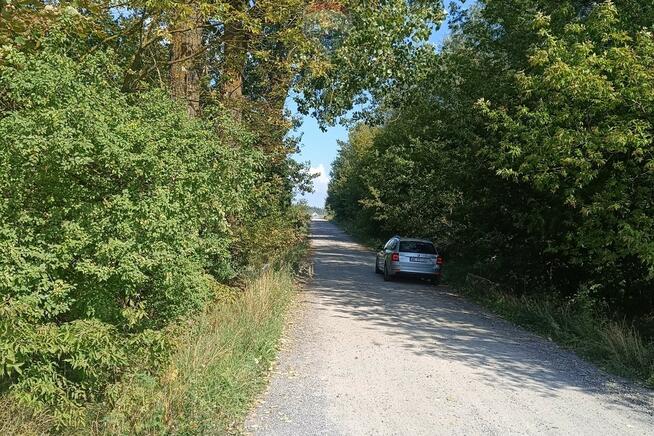 Działka Skaryszew k/Radomia, ul. Zielona