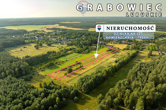 Na sprzedaż działka rolna 7900 m2, pod lasem