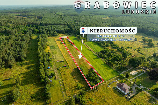 Na sprzedaż działka rolna 7900 m2, pod lasem