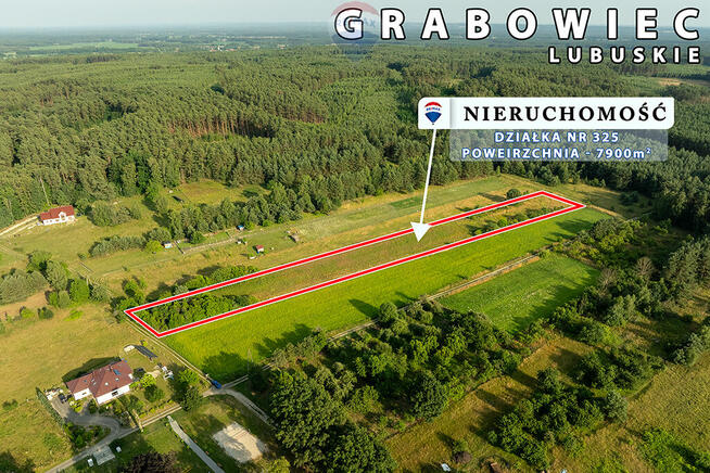 Na sprzedaż działka rolna 7900 m2, pod lasem