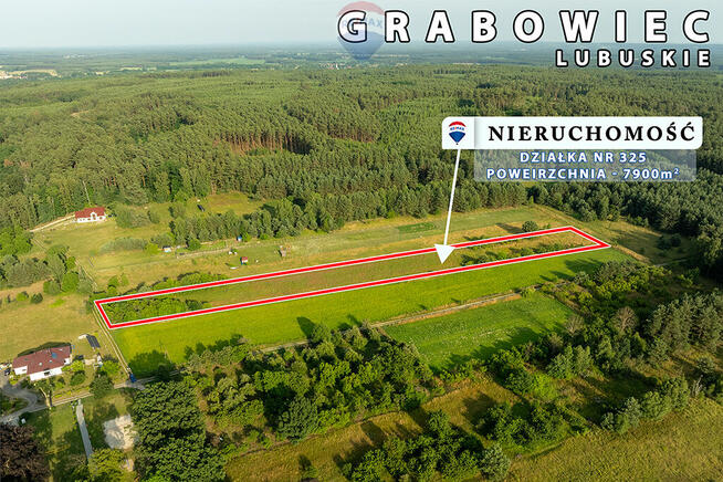 Na sprzedaż działka rolna 7900 m2, pod lasem