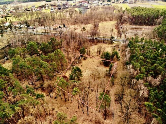 Działka budowlana 4081 m2, Dąbie