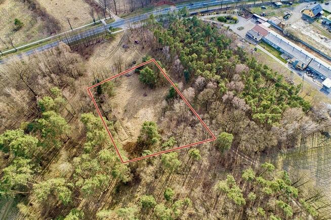 Działka budowlana 4081 m2, Dąbie