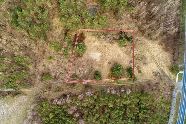 Działka budowlana 4081 m2, Dąbie