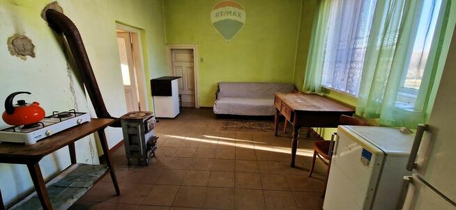 Na sprzedaż gospodarstwo sadownicze