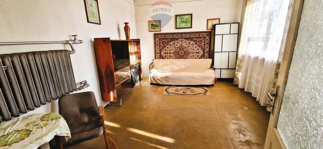 Na sprzedaż gospodarstwo sadownicze