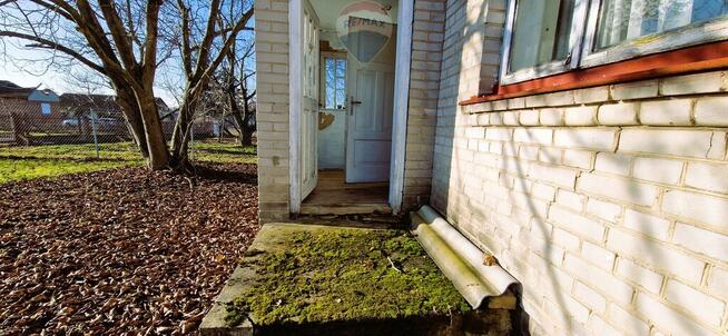 Na sprzedaż gospodarstwo sadownicze