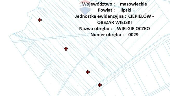 Łąki 0,32 ha Wielgie gm. Kazanów