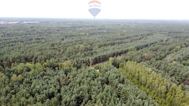 Kompleks gruntów 4,74 ha w gm. Kazanów