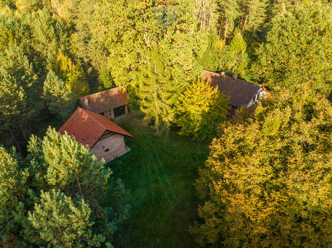 Siedlisko w otulinie lasu