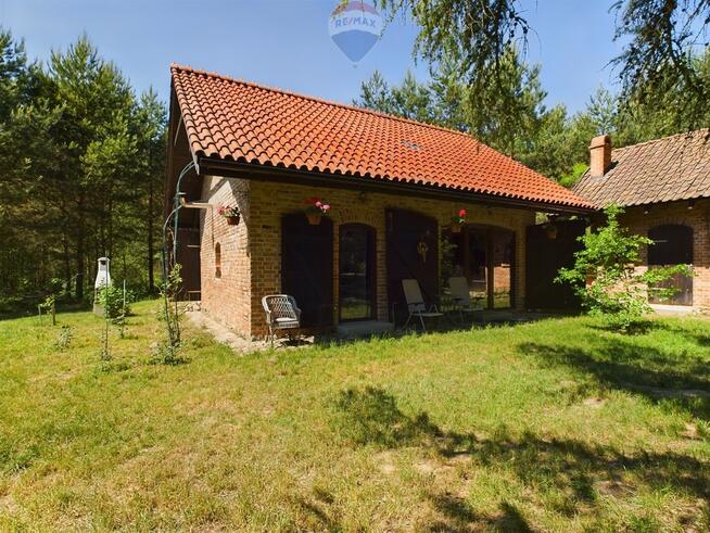 Siedlisko w otulinie lasu