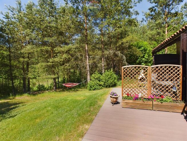 Siedlisko w otulinie lasu