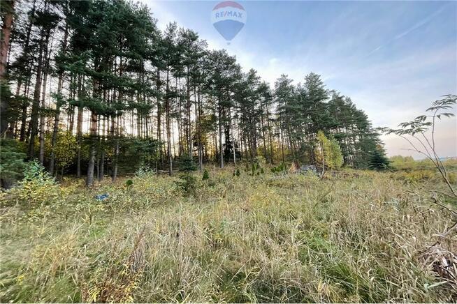 Działka Dorotowo z WZ