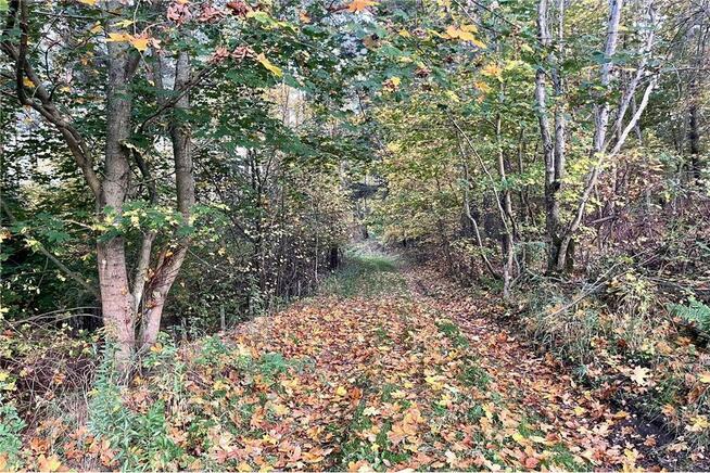 Działka Dorotowo z WZ