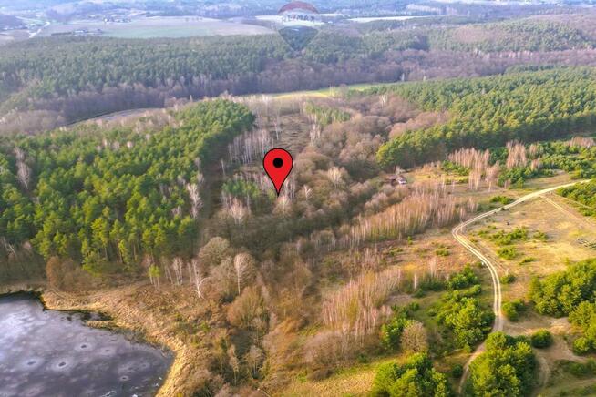 Działka w otoczeniu lasu