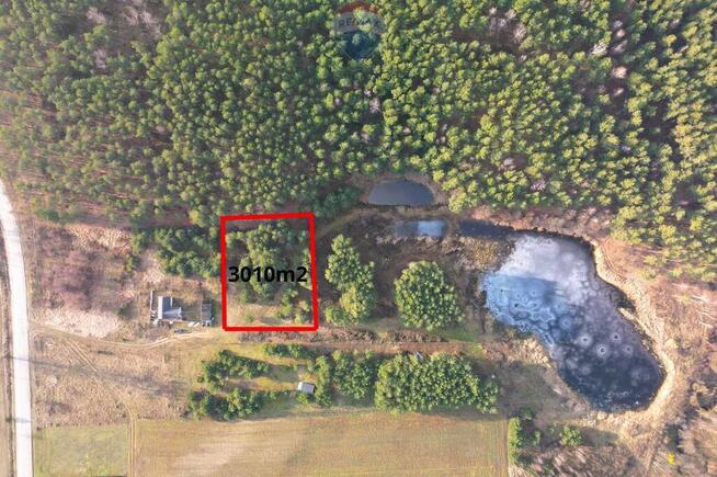 Działka z WZ przy lesie i stawie