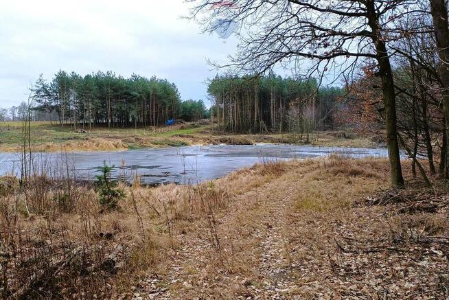 Działka z WZ przy lesie i stawie