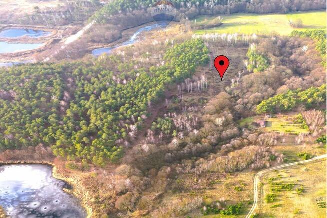 Działka z WZ przy lesie i stawie