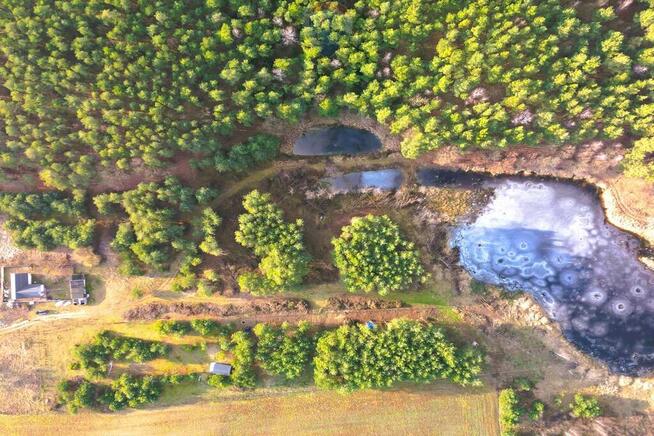 Działka z WZ przy lesie i stawie