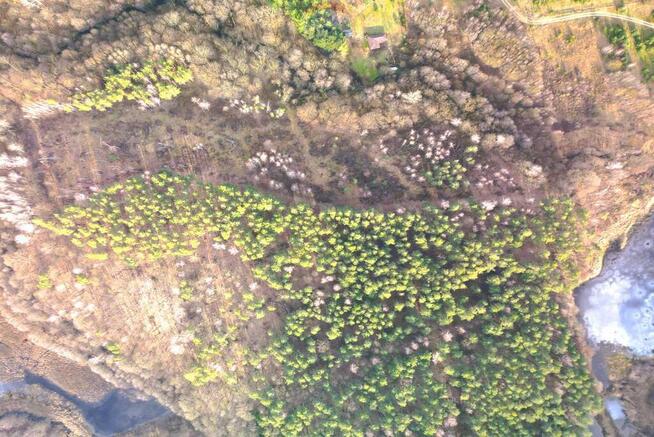 Działka z WZ przy lesie i stawie