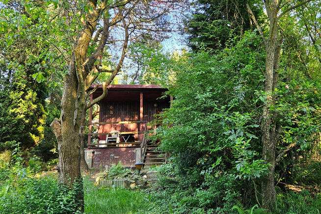 Działka ROD z domkiem tuż obok lasu! Sygneczów