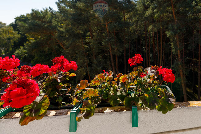 4-pokojowe mieszkanie w Mrzeżynie, blisko plaży