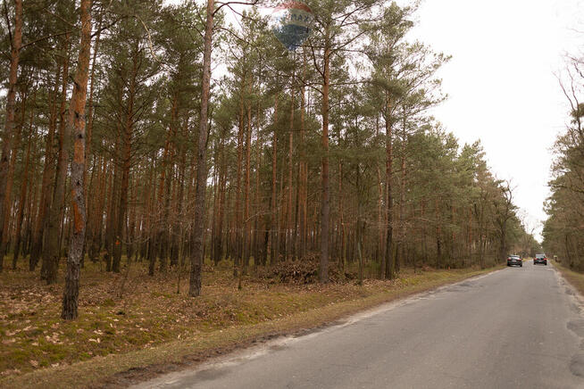 Działka budowlana w lesie - Ziewanice gmina Głowno