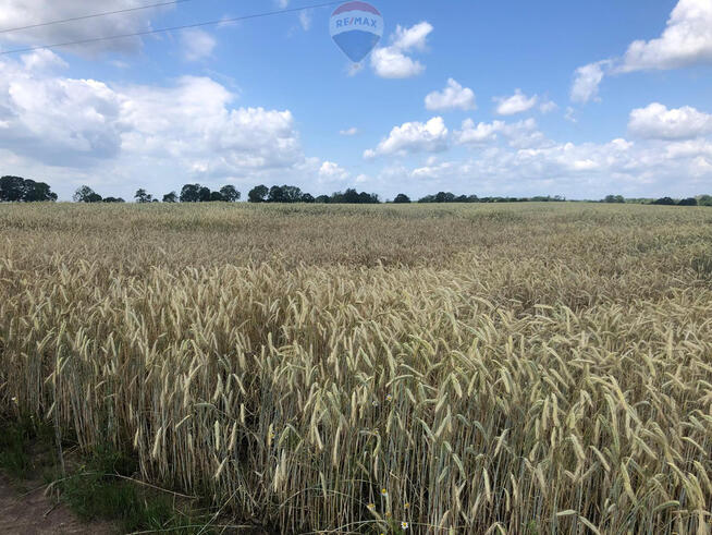 Unikalna Posiadłość Rolno-Rezydencyjna z Dworkiem