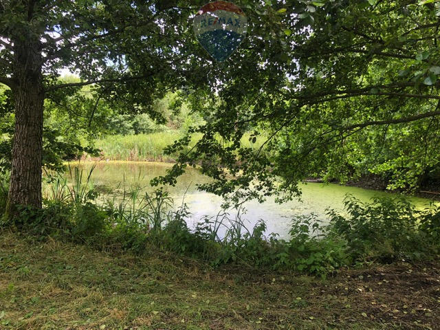 Unikalna Posiadłość Rolno-Rezydencyjna z Dworkiem