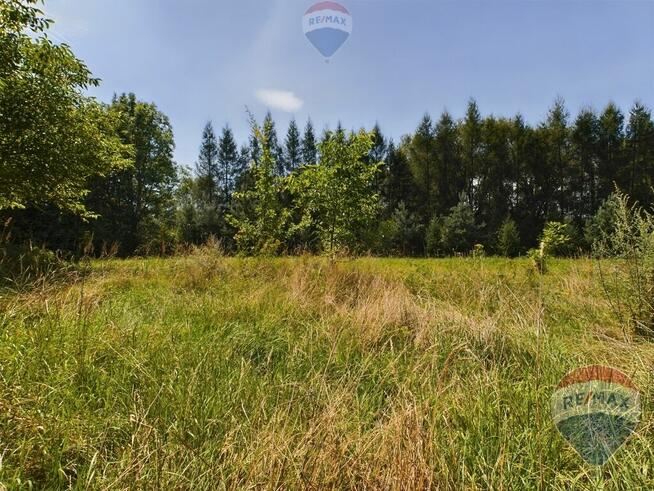 Działka rekreacyjna na sprzedaż, Lenarcice