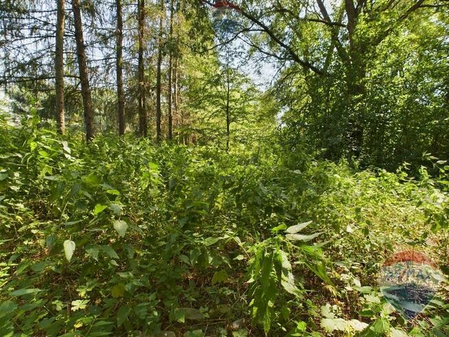 Działka rekreacyjna na sprzedaż, Lenarcice
